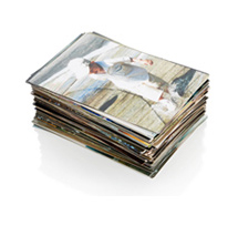 Photo Prints