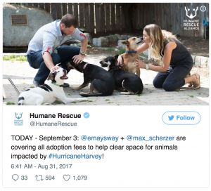 Max and May Scherzer covered adoption fees for rescue animals after Hurricane Harvey